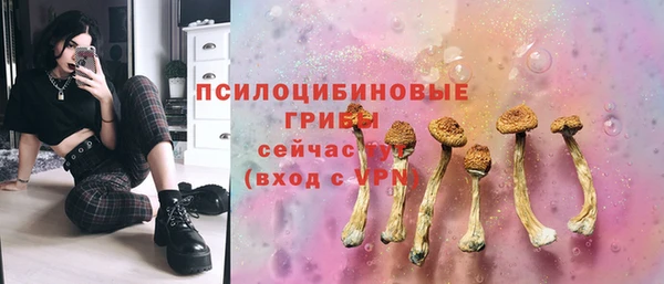 дурь Аркадак