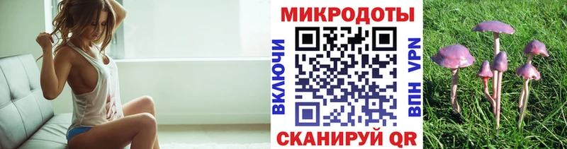 Псилоцибиновые грибы Psilocybe  даркнет сайт  Собинка 